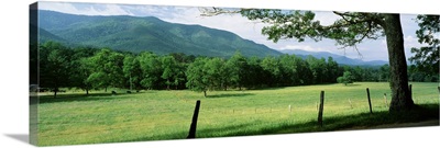 Tennessee, Great Smoky Mountains National Park, Cades Cove, Meadow surrounded by barbed wire fence