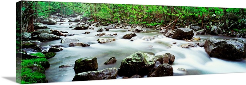 Tennessee, Great Smoky Mountains National Park, Little Pigeon River ...