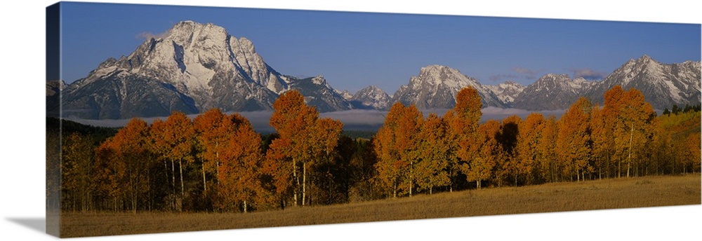 Photograph taken of immense snow capped mountains with autumn colored trees and a field shown in the foreground.