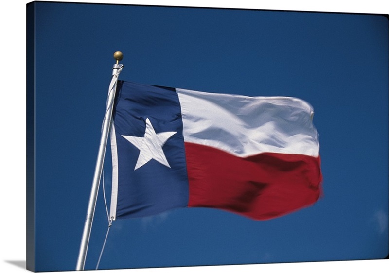Texas state flag great big canvas