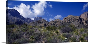 The Chisos Mountains Big Bend National Park TX image thumbnail
