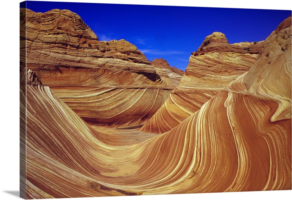 Giant, horizontal photograph of the sandstone formation The Wave, against a deep blue sky in the Paria Wilderness Area, Utah.