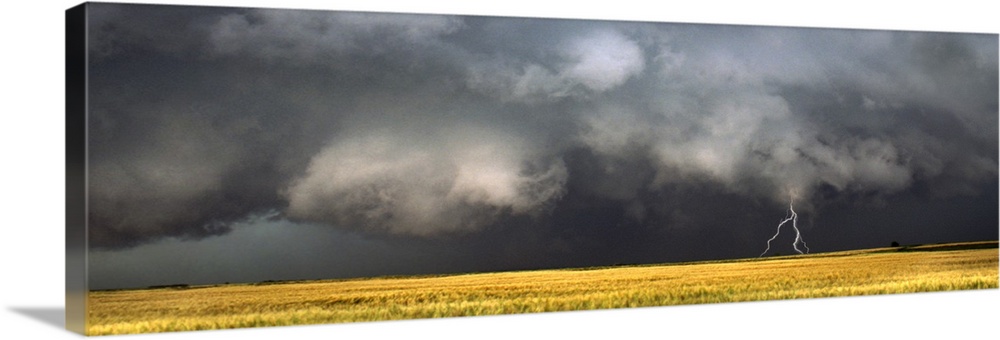 Panoramic photograph of storm clouds with lightning striking the ground over a meadow of tall grass.