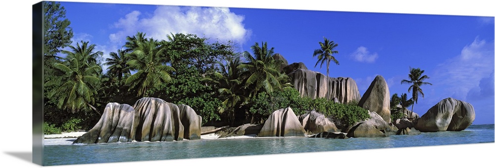 Panoramic canvas photo of big smooth rocks on an ocean shore with a forest of palm behind them.