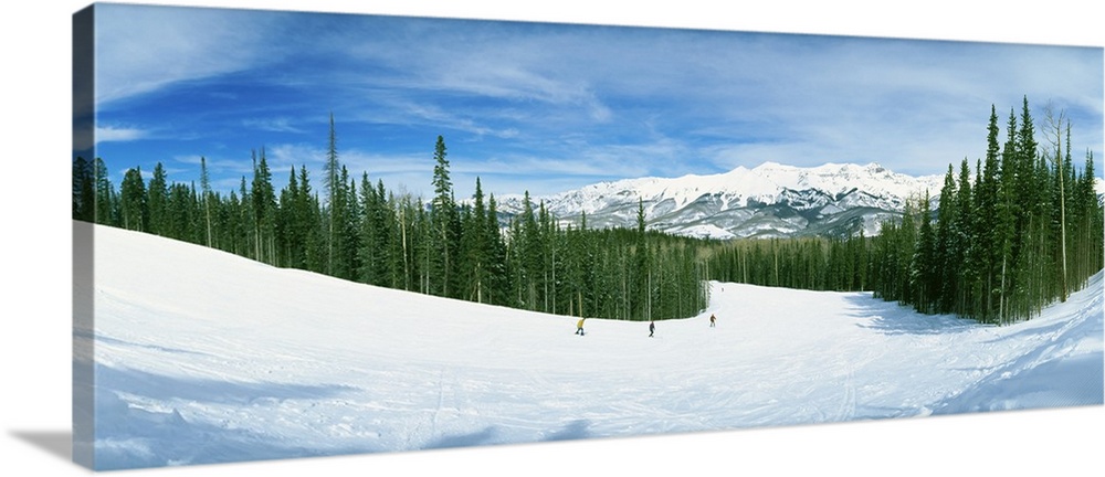 Tourists skiing on a snow covered landscape, Telluride, San Miguel County, Colorado