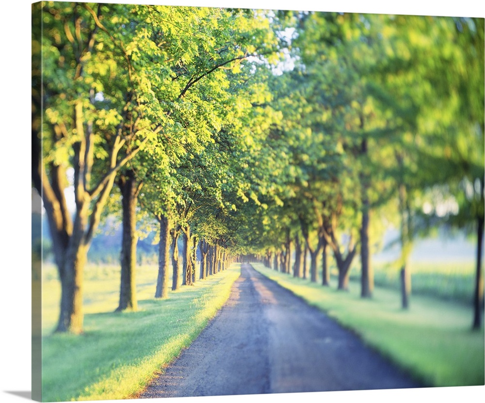 This is a landscape photograph of a gravel road through farm land with a vignette blur around the edges.