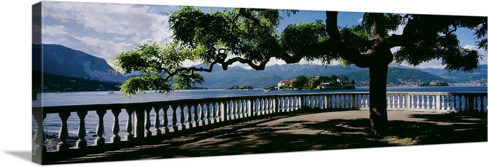 Panoramic photo on canvas of a tree branching out over a view of a lake with rolling mountains in the distance.