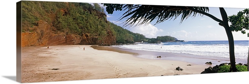 Tree on the beach, Lelekea Beach, Hana, Maui, Hawaii | Great Big Canvas