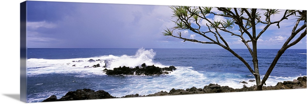 Panoramic photograph of rocky shoreline with breaking waves and one tall tree under a cloudy sky.