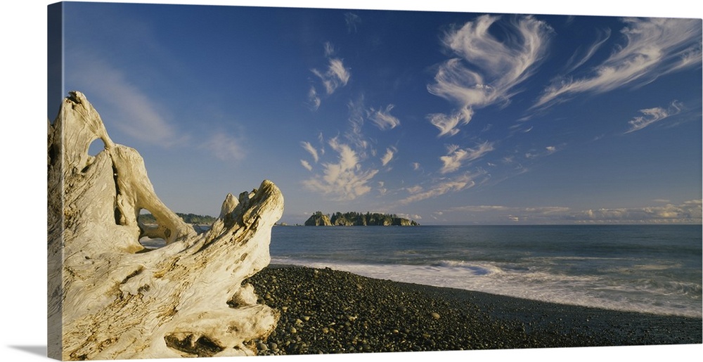 Photograph of large piece of driftwood near coastline under a cloudy sky.