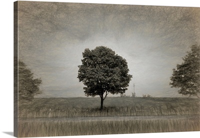 Tree with rape field in springtime