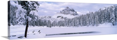 Trees along a frozen lake, Lake Antorno, Tre Cime Di Lavaredo, Dolomites, Cadore, Province of Belluno, Veneto, Italy