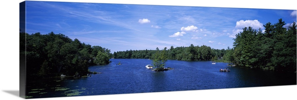 Trees along a lake Six Mile Lake Georgian Bay Muskoka Ontario Canada ...