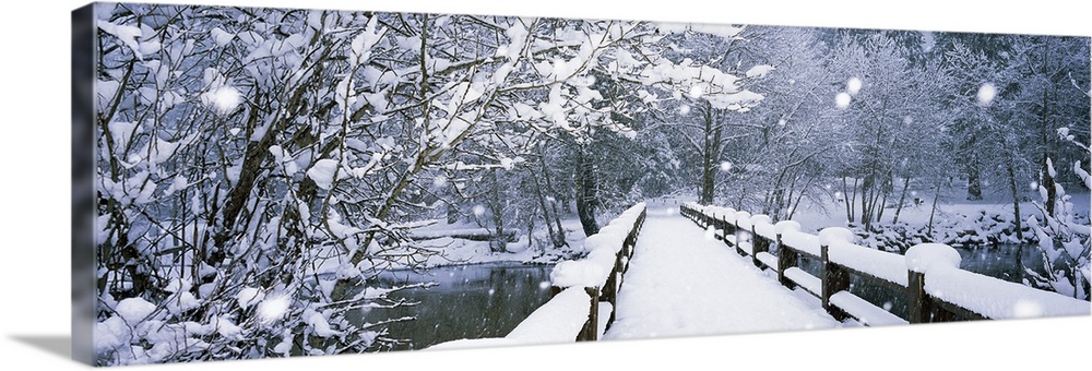 Panoramic photograph of a wintry landscape of trees surrounding a snow covered footbridge as it continues to snow in Yosem...