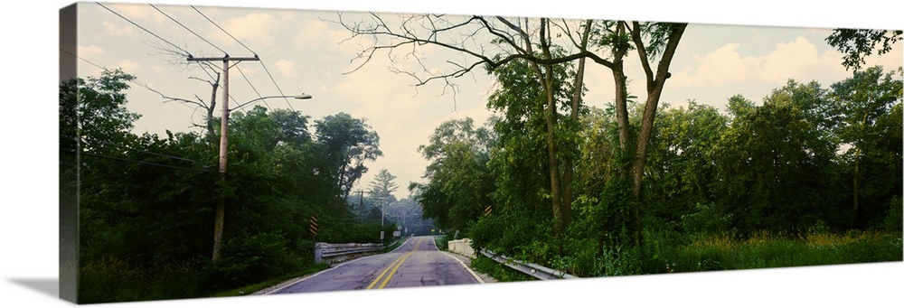 Trees along Williams Road, Warrenville, Illinois, USA