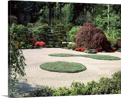 Trees and plants in a garden, Japanese Garden, Washington Park, Portland, Oregon