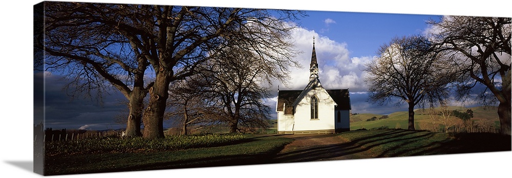 Trees around a church, Pukehou Christ Church, North Island, New Zealand