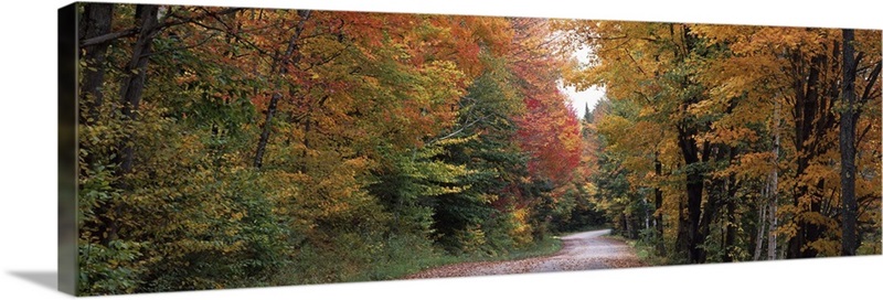 Trees at both sides of a road, Percy, New Hampshire Wall Art, Canvas ...