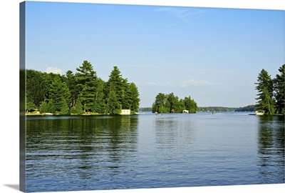 Trees at the Lakeside, Lake Muskoka, Ontario, Canada