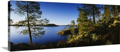 Trees at the lakeside, Lake Saimaa, Puumala, Finland