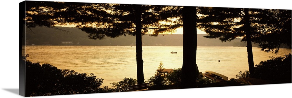 Trees at the lakeside, Oquaga Lake, Deposit, Broome County, New York State