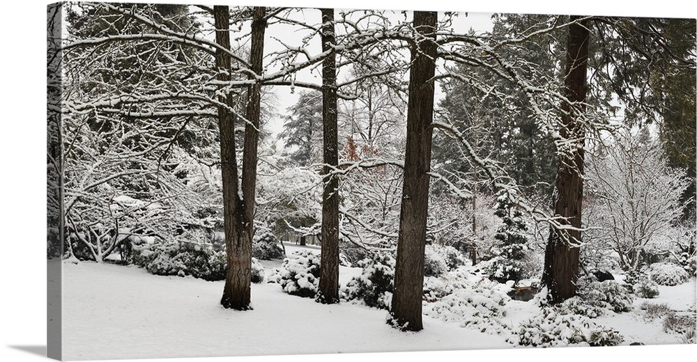 Giant landscape photograph of snow covered trees and shrubs at the edge of a forest in Ashland, Jackson County, Oregon.