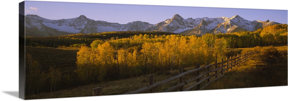 Wide angle photograph on a large canvas of a wooden fence running through a golden fall landscape of Dallas Divide, the sn...