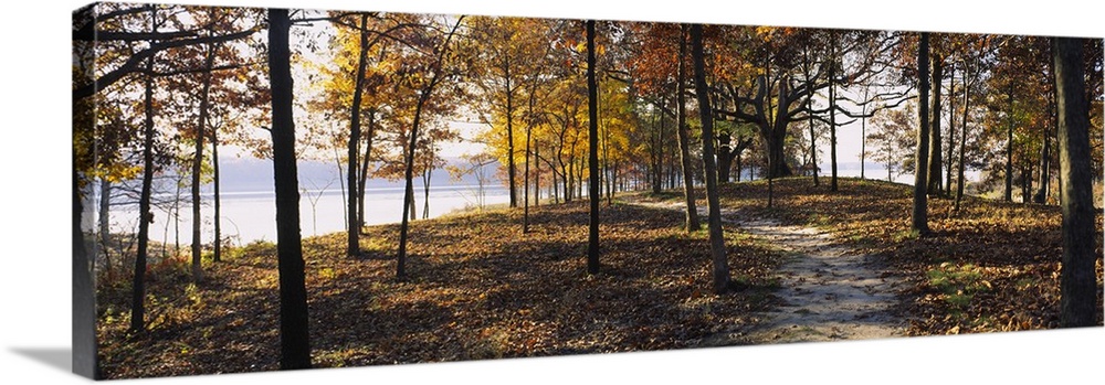 Panoramic photograph of dirt trail winding through an autumn forest with river in the distance.