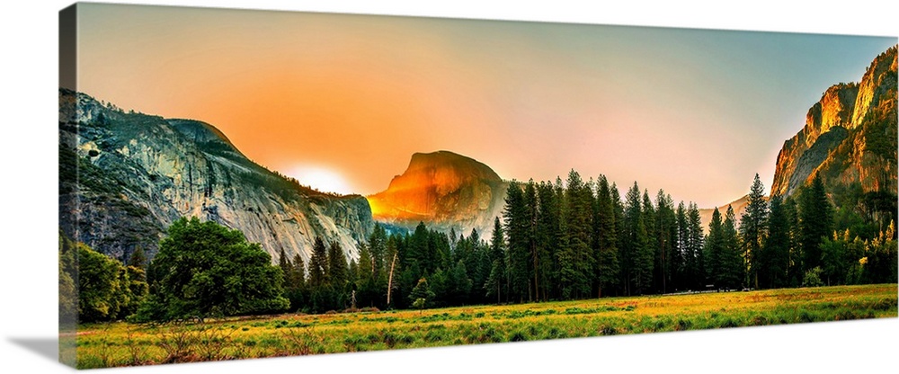 Trees in a forest with mountain range in the background, Yosemite National Park, California, USA.