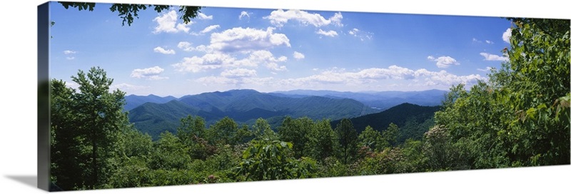 Trees in a forest with mountains in the background, Cherohala Skyway ...