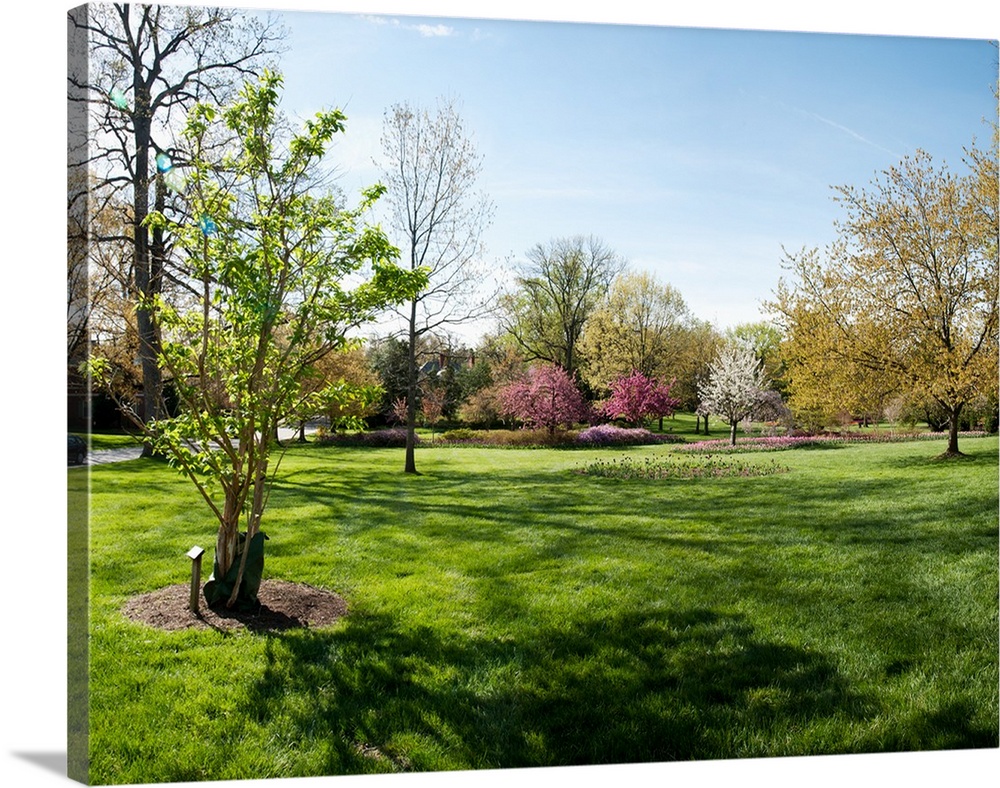 Trees in a garden, Sherwood Gardens, Baltimore, Maryland