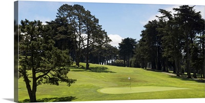 Trees in a golf course, Presidio Golf Course, San Francisco, California