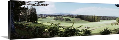 Trees in a golf course, Ritz-Carlton, Kapalua, Maui, Maui County, Hawaii