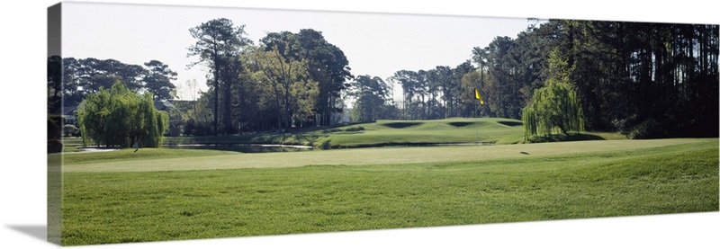 Trees in a golf course, Westport Golf Course, North Myrtle Beach, South ...