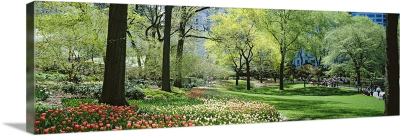 Trees In A Park, Central Park, Manhattan, New York City, New York State 