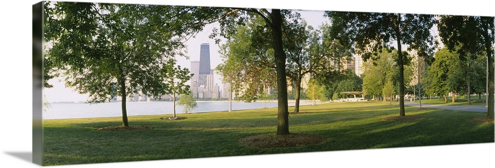 Trees in a park, John Hancock Center, Lincoln Park, Chicago, Illinois