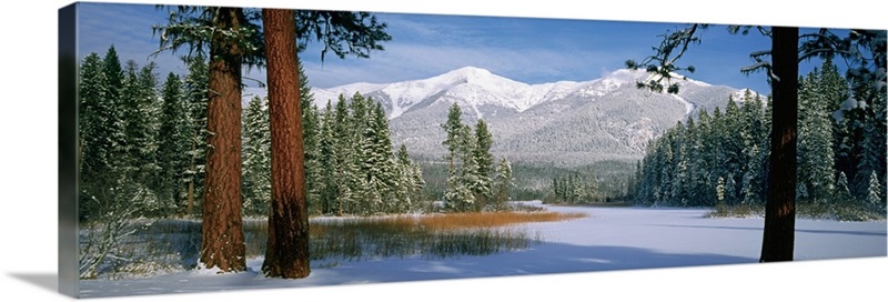 Trees in a snow covered landscape, Montana | Great Big Canvas