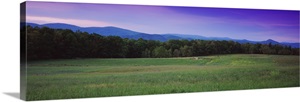 Trees in a valley, Rockbridge County, Shenandoah Valley, Virginia image thumbnail