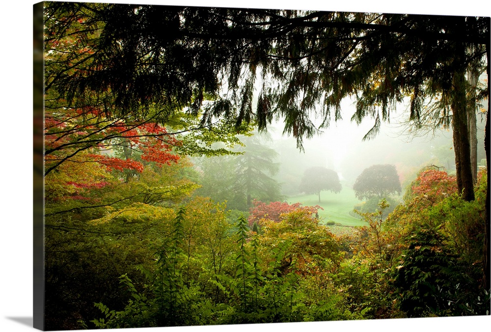 Trees in A Garden, Butchart Gardens, Victoria, Vancouver Island, British Columbia, Canada Color Pop by Panoramic Images - Gallery-Wrapped Canvas Giclé