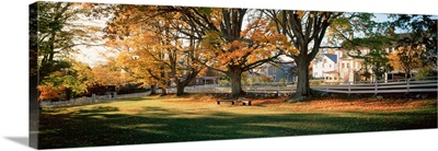 Trees in front of a building, Shaker Village, Canterbury, New Hampshire