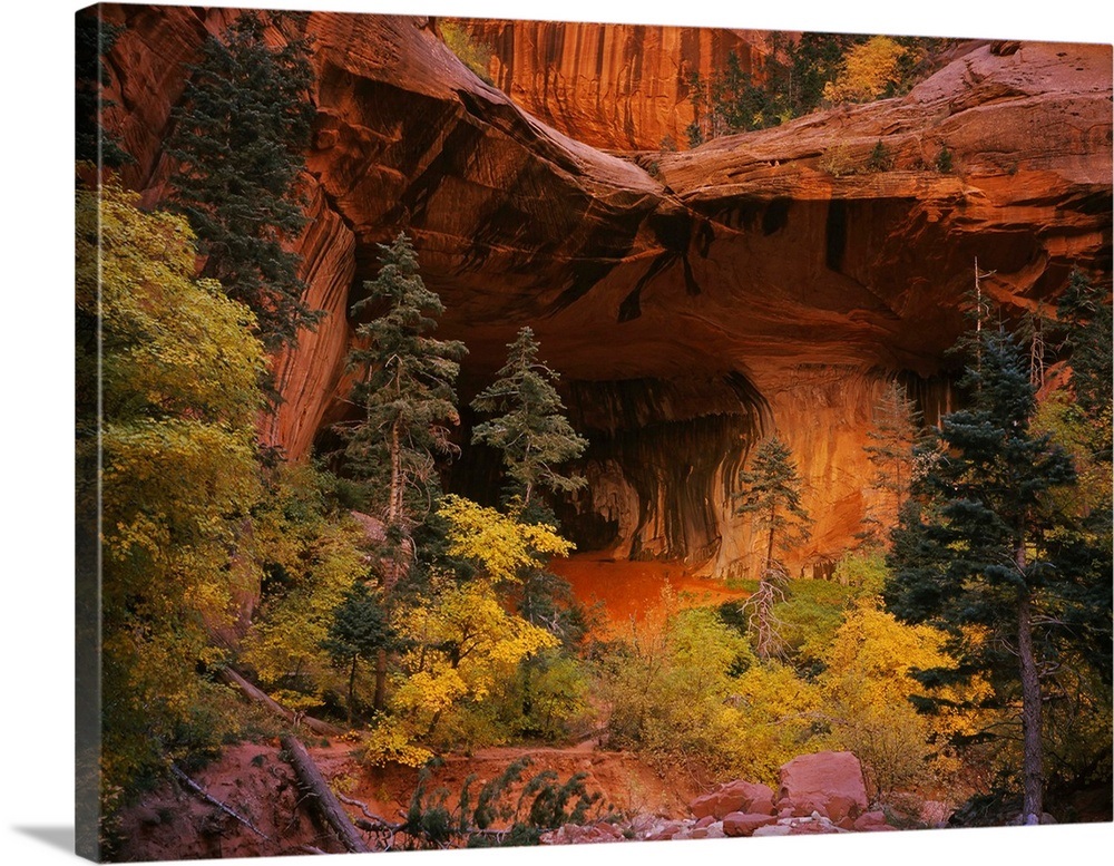 Trees in front of a cave, Zion National Park, Utah Wall Art, Canvas