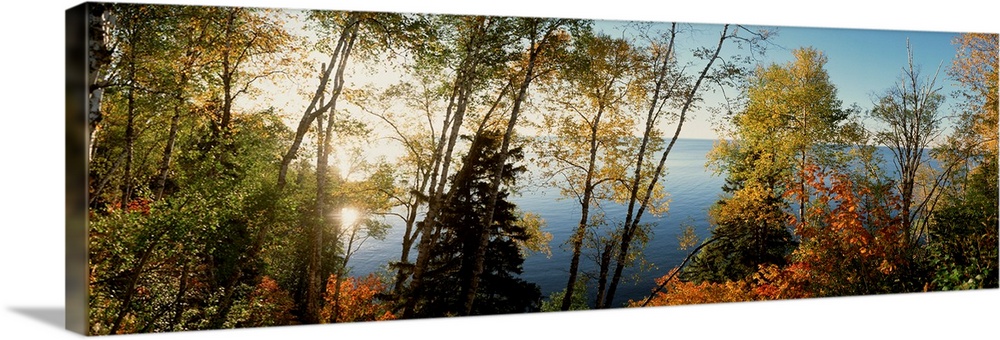 Trees in front of a lake, Minnesota Wall Art, Canvas Prints, Framed ...
