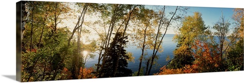 Trees in front of a lake, Minnesota | Great Big Canvas