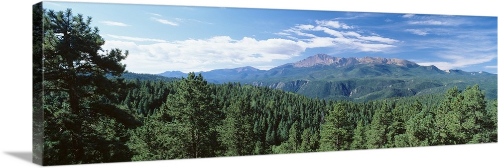 Panoramic photograph of forest tree tops with mountains in the distance under a cloudy sky.