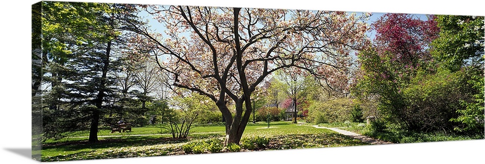 Addams Park, Spring, Weaton, Illinois, USA