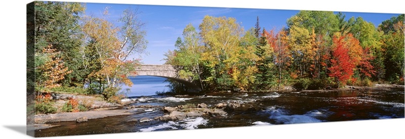 Trees near a river, Bog River, New York State Wall Art, Canvas Prints ...