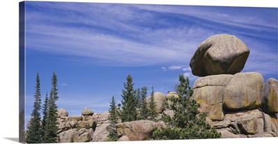 Trees near rock formations, Vedauwoo, Medicine Bow National Forest, Wyoming