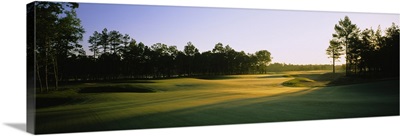 Trees on a golf course, Sand Barrens Golf Club, Swainton, New Jersey