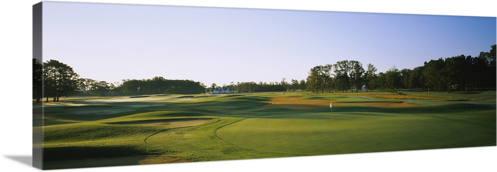 Trees on a golf course, The Carolina Club, Outer Banks, North Carolina