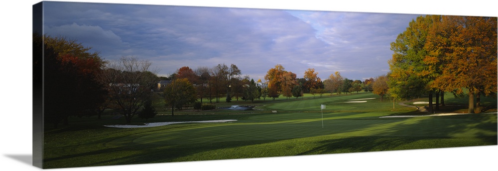 Trees on a golf course, Westwood Country Club, Vienna, Virginia